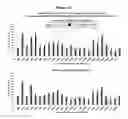Fig. 13 - Methods and compositions for the specific inhibition of beta-catenin by double-stranded RNA