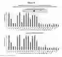 Fig. 16 - Methods and compositions for the specific inhibition of beta-catenin by double-stranded RNA