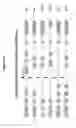 Fig. 17 - Methods and compositions for the specific inhibition of beta-catenin by double-stranded RNA