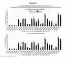 Fig. 23 - Methods and compositions for the specific inhibition of beta-catenin by double-stranded RNA