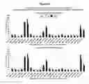 Fig. 24 - Methods and compositions for the specific inhibition of beta-catenin by double-stranded RNA