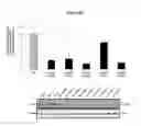 Fig. 31 - Methods and compositions for the specific inhibition of beta-catenin by double-stranded RNA