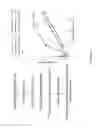 Fig. 10 - Spherical nucleic acid-based constructs as immunostimulatory agents for prophylactic and therapeutic use