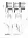 Fig. 12 - Spherical nucleic acid-based constructs as immunostimulatory agents for prophylactic and therapeutic use