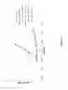 Fig. 14 - Spherical nucleic acid-based constructs as immunostimulatory agents for prophylactic and therapeutic use