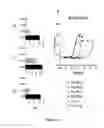 Fig. 19 - Spherical nucleic acid-based constructs as immunostimulatory agents for prophylactic and therapeutic use