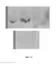 Fig. 20 - Spherical nucleic acid-based constructs as immunostimulatory agents for prophylactic and therapeutic use
