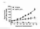 Fig. 02 - RNA interference compositions and methods for malignant tumors