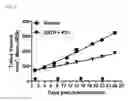 Fig. 03 - RNA interference compositions and methods for malignant tumors