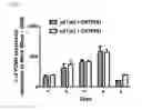 Fig. 04 - RNA interference compositions and methods for malignant tumors