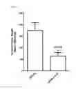 Fig. 05 - RNA interference compositions and methods for malignant tumors