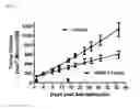 Fig. 06 - RNA interference compositions and methods for malignant tumors