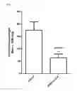 Fig. 02 - Methods and compositions for treating malignant tumors associated with KRAS mutation