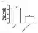 Fig. 04 - Methods and compositions for treating malignant tumors associated with KRAS mutation