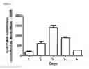 Fig. 05 - Methods and compositions for treating malignant tumors associated with KRAS mutation