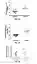 Fig. 06 - Methods and Compositions for the Treatment of Prostate Related Disorders using miR-1