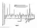Fig. 09 - METHODS FOR ALTERING POLYPEPTIDE EXPRESSION AND SOLUBILITY