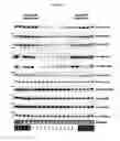 Fig. 02 - Temporal regulation of gene expression by microRNAs
