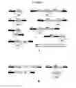 Fig. 06 - Temporal regulation of gene expression by microRNAs
