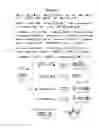 Fig. 07 - Temporal regulation of gene expression by microRNAs