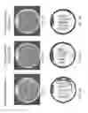 Fig. 04 - Isolated polynucleotides and polypeptides, and methods of using same for increasing plant yield and/or agricultural characteristics