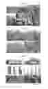 Fig. 14 - PLANTS RESISTANT TO PATHOGENIC MICROORGANISMS GROWING IN VASCULAR TISSUES
