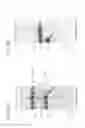 Fig. 69 - Methods of Mutating, Modifying or Modulating Nucleic Acid in a Cell or Nonhuman Mammal