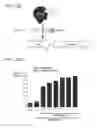 Fig. 96 - Methods of Mutating, Modifying or Modulating Nucleic Acid in a Cell or Nonhuman Mammal