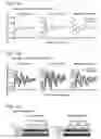 Fig. 02 - RECOMBINANT CELLS AND METHODS OF USING SUCH CELLS TO IDENTIFY CIRCADIAN RHYTHM MODULATORS