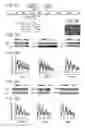 Fig. 03 - RECOMBINANT CELLS AND METHODS OF USING SUCH CELLS TO IDENTIFY CIRCADIAN RHYTHM MODULATORS