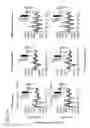 Fig. 13 - RECOMBINANT CELLS AND METHODS OF USING SUCH CELLS TO IDENTIFY CIRCADIAN RHYTHM MODULATORS