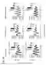 Fig. 14 - RECOMBINANT CELLS AND METHODS OF USING SUCH CELLS TO IDENTIFY CIRCADIAN RHYTHM MODULATORS