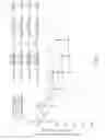 Fig. 03 - RAAV-based compositions and methods for treating alpha-1 anti-trypsin deficiencies