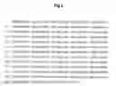 Fig. 04 - SCREENING METHODS USING FYN IN COMBINATION WITH TAU PROTEIN