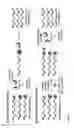 Fig. 02 - Reactivity-dependent and interaction-dependent PCR