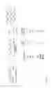 Fig. 09 - Reactivity-dependent and interaction-dependent PCR