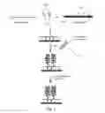 Fig. 02 - MULTIPLEX DETECTION OF NUCLEIC ACIDS