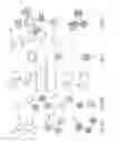Fig. 03 - MULTIPLEX DETECTION OF NUCLEIC ACIDS