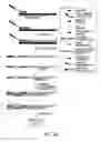 Fig. 04 - Tagged oligonucleotides and their use in nucleic acid amplification methods
