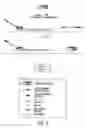 Fig. 10 - Tagged oligonucleotides and their use in nucleic acid amplification methods