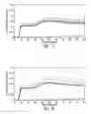 Fig. 16 - Tagged oligonucleotides and their use in nucleic acid amplification methods