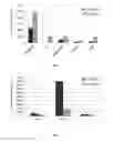 Fig. 02 - Gene and protein expression properties of adherent stromal cells cultured in 3D