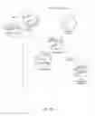 Fig. 22 - METHODS, COMPOSITIONS, AND KITS FOR NUCLEIC ACID ANALYSIS