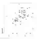 Fig. 08 - COMPOSITIONS AND METHODS FOR DETERMINING THE PROGNOSIS OF BLADDER UROTHELIAL CANCER