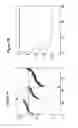 Fig. 10 - COMPOSITIONS AND METHODS FOR DETERMINING THE PROGNOSIS OF BLADDER UROTHELIAL CANCER