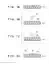 Fig. 02 - RESIN ARTICLE AND METHOD OF MANUFACTURING RESIN ARTICLE