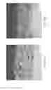 Fig. 02 - Composition and coating structure applying with the same