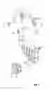 Fig. 09 - Automatic detergent supply apparatus and washing machine having the same