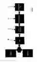 Fig. 03 - METHOD AND APPARATUS FOR THE MANUFACTURING OF COMPOSITE MATERIAL