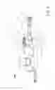 Fig. 06 - FEEDING APPLIANCE AND METHOD FOR CONVERSION OF THE SAME